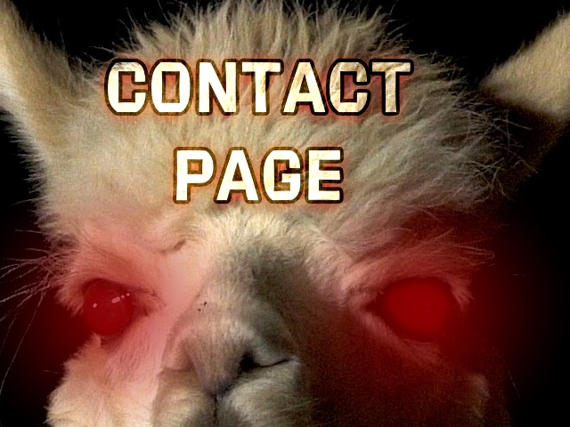 Contact